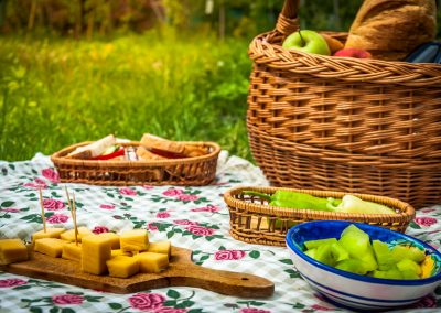 Picnics