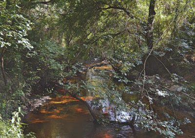 Red Hawk Ranch Creek