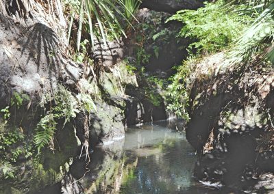 Red Hawk Ranch Creek