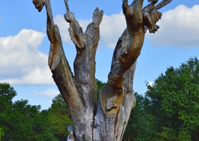 Red Hawk Ranch  carved tree