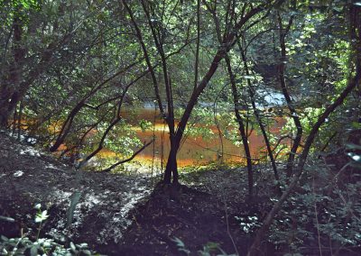 Red Hawk Ranch Creek